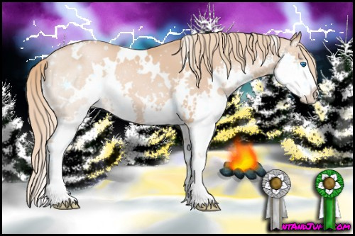 Horse Color: White Spotted Liver Chestnut Pearl Sabino Splash 