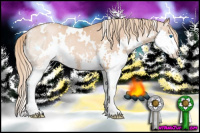 Horse Color:White Spotted Liver Chestnut Pearl Sabino Splash