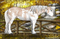 Horse Color:White Spotted Silver Brown Pearl Splash 