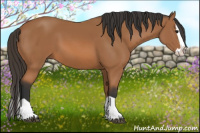 Horse Color:Bay Splash 