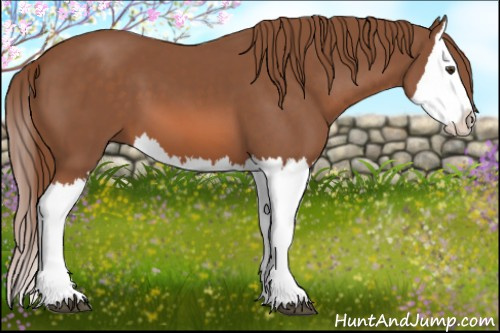 Horse Color: Chestnut Splash 