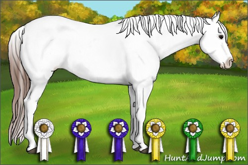 Horse Color: Bay Splash Blanket 