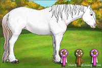 Horse Color:Bay Splash Varnish 