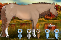 Horse Color:White Spotted Liver Red Dun 