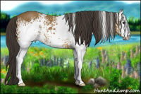 Horse Color:White Spotted Buckskin