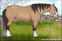 Horse Color:Bay Dun Splash 