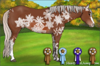 Horse Color:Silver Bay Ice Sabino 