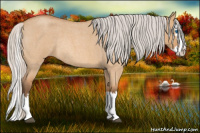 Horse Color:Silver Bay Roan Dun Splash Rabicano