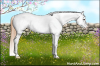 Horse Color:Chestnut Tobiano Near Leopard 