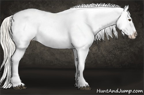Horse Color: Palomino Varnish 