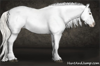 Horse Color:Palomino Varnish 