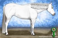 Horse Color:Gray Brown Blanket 