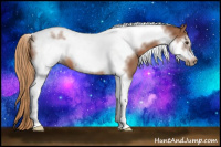 Horse Color:Chestnut Tobiano Frame 