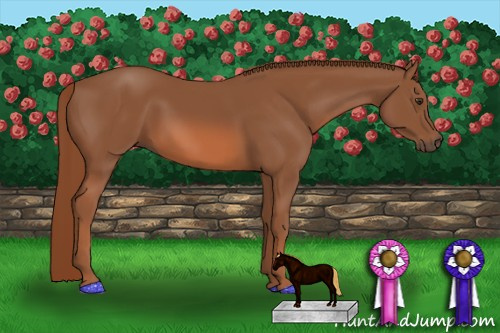 Horse Color: Liver Chestnut 