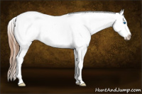 Horse Color:Red Dun Roan Splash Frame Blanket Rabicano 