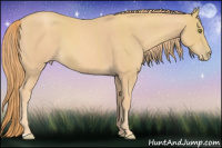 Horse Color:Gold Champagne Rabicano