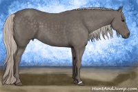 Horse Color:Silver Black  and Silver Black 