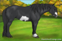 Horse Color:Black Frame 