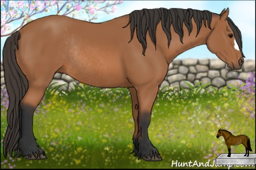 Horse Color: Bay Rabicano 