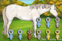 Horse Color:White Spotted Perlino Dun 