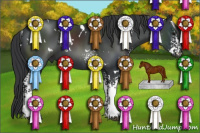Horse Color:White Spotted Brown 