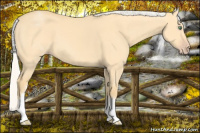 Horse Color:White Spotted Silver Amber Cream Champagne Dun