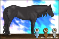 Horse Color:Smoky Black Rabicano 