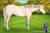 Horse Color:Smoky Black Pearl Sabino 