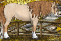 Horse Color:Red Dun Roan Splash 