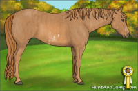 Horse Color:Chestnut Splash Frame  Brindle