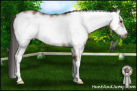 Horse Color:White Spotted Bay Frame