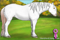 Horse Color:Amber Champagne Near Fewspot 