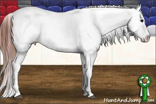 Horse Color: Brown Blanket 