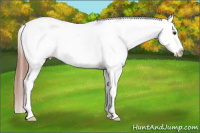 Horse Color:White Spotted Sable Champagne Frame Appaloosa Rabicano