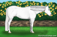 Horse Color:Perlino Near Fewspot 