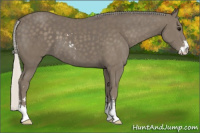Horse Color:Silver Smoky Black Sabino 
