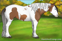 Horse Color:Bay Splash Tobiano 