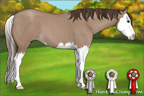 Horse Color: Classic Champagne Roan Splash 
