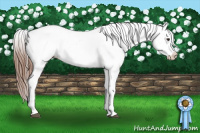 Horse Color:Chestnut Tobiano Blanket 