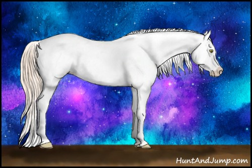 Horse Color: Gold Champagne Snowcap 