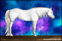 Horse Color:Gold Champagne Snowcap 