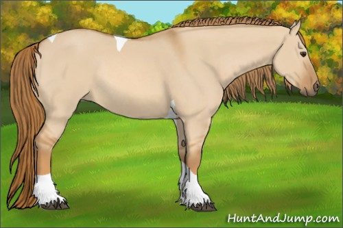 Horse Color: Red Dun Tobiano Rabicano 