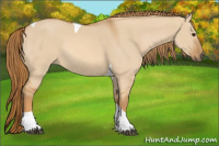 Horse Color:Red Dun Tobiano Rabicano