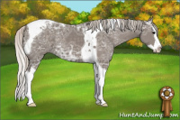Horse Color:Silver Black Ice Splash Tobiano 