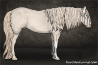 Horse Color:Perlino 