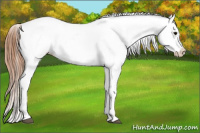 Horse Color:Grullo Near Fewspot 