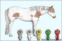 Horse Color:Silver Bay Dun Splash Tobiano Frame