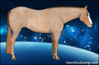 Horse Color:Red Roan Splash 