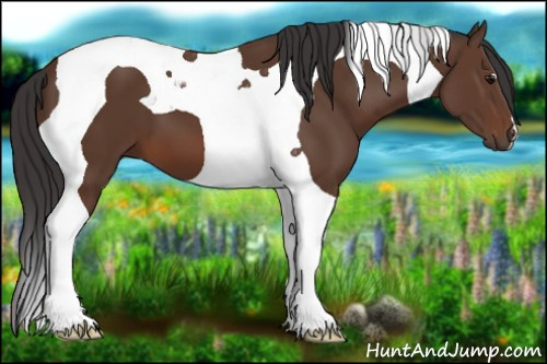 Horse Color: Bay Tobiano 