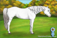Horse Color:Brown Snowcap 